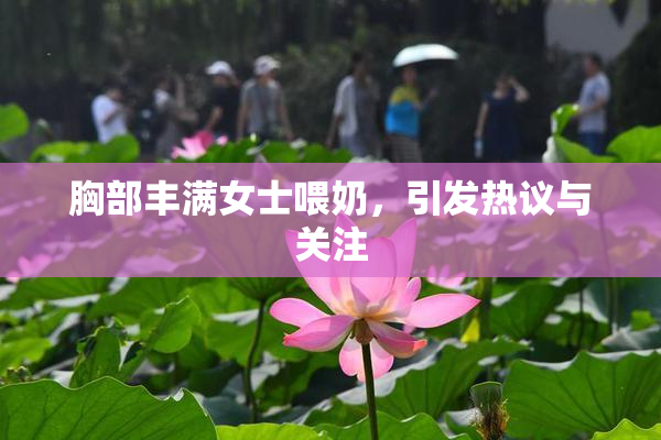 胸部丰满女士喂奶，引发热议与关注