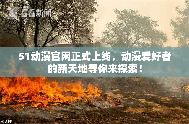 51动漫官网正式上线，动漫爱好者的新天地等你来探索！
