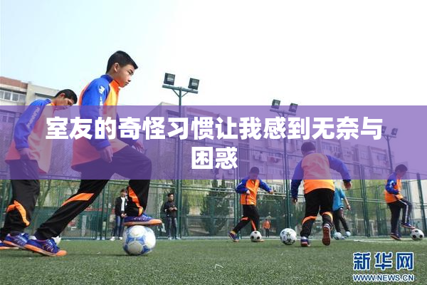 室友的奇怪习惯让我感到无奈与困惑