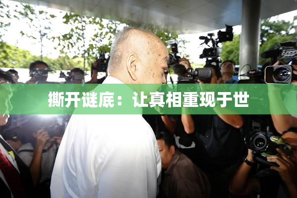撕开谜底：让真相重现于世