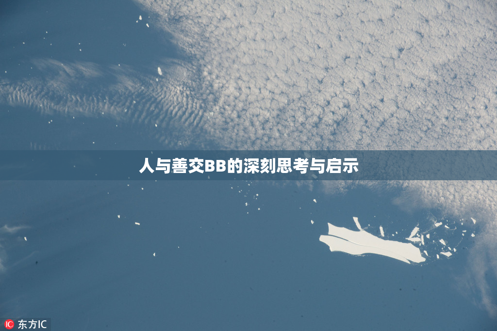 人与善交BB的深刻思考与启示