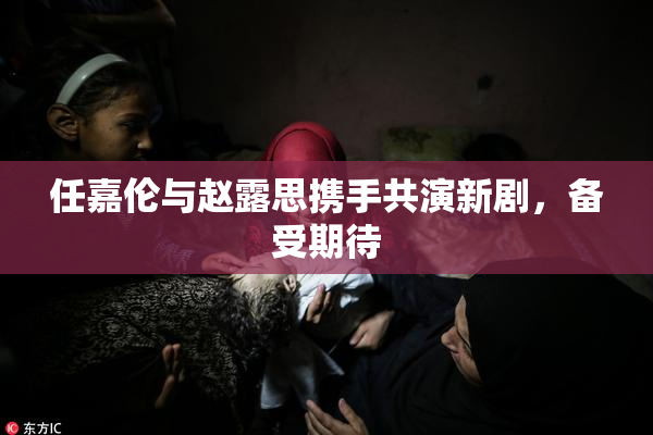 任嘉伦与赵露思携手共演新剧，备受期待