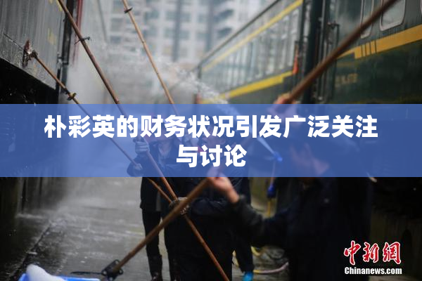 朴彩英的财务状况引发广泛关注与讨论