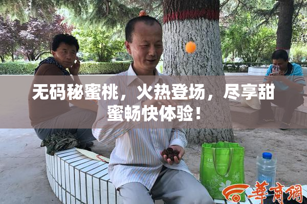 无码秘蜜桃，火热登场，尽享甜蜜畅快体验！