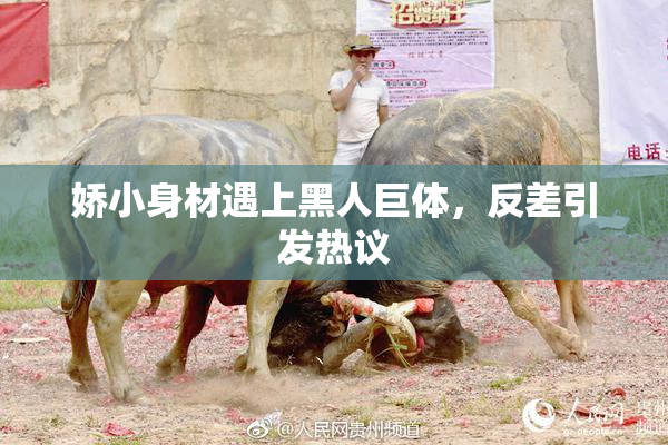 娇小身材遇上黑人巨体，反差引发热议