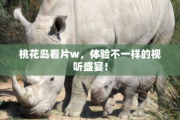 桃花岛看片w，体验不一样的视听盛宴！