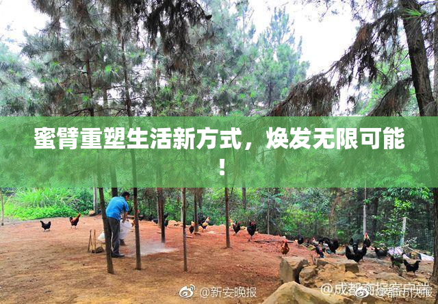 蜜臂重塑生活新方式，焕发无限可能！