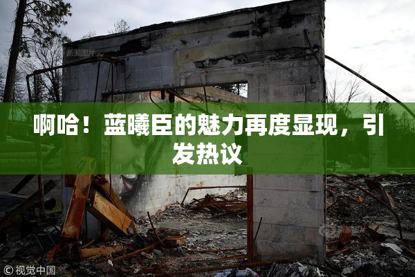 啊哈！蓝曦臣的魅力再度显现，引发热议