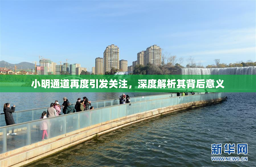 小明通道再度引发关注，深度解析其背后意义