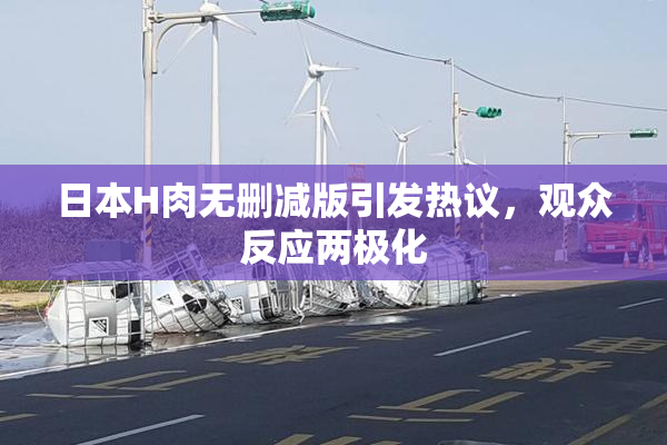 日本H肉无删减版引发热议，观众反应两极化