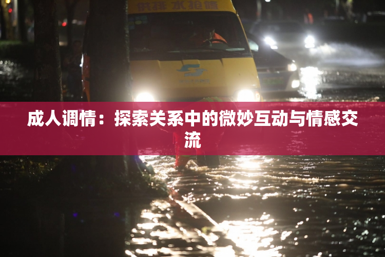 成人调情：探索关系中的微妙互动与情感交流