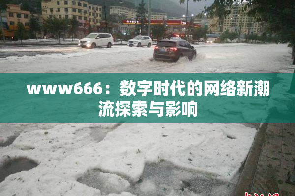 www666：数字时代的网络新潮流探索与影响