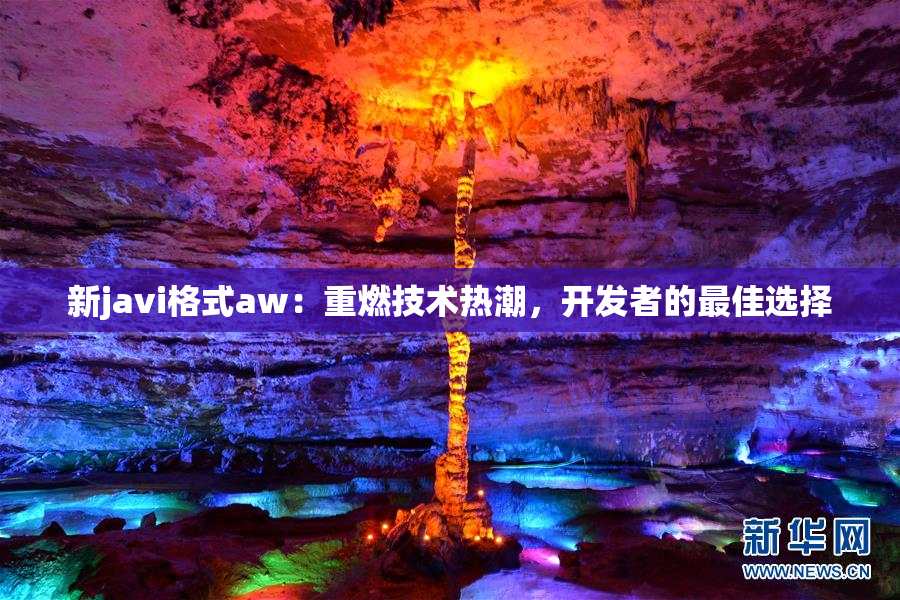新javi格式aw：重燃技术热潮，开发者的最佳选择
