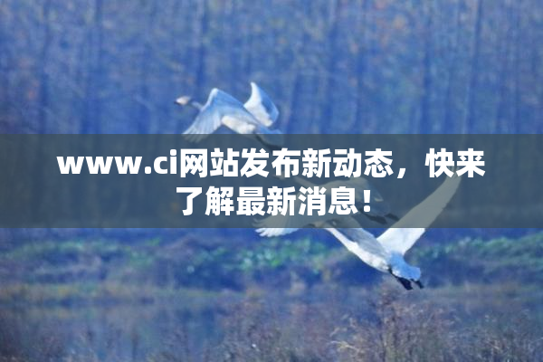 www.ci网站发布新动态，快来了解最新消息！