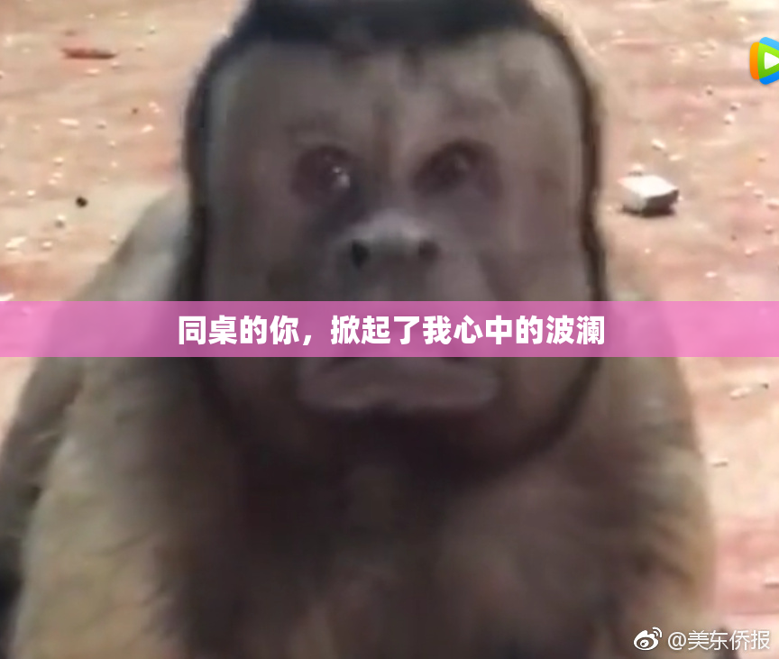 同桌的你，掀起了我心中的波澜