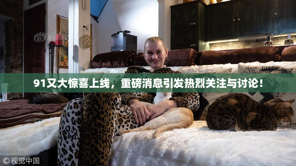 91又大惊喜上线，重磅消息引发热烈关注与讨论！