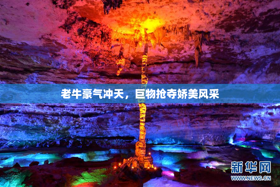 老牛豪气冲天，巨物抢夺娇美风采