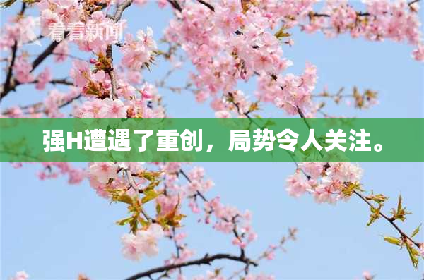 强H遭遇了重创，局势令人关注。
