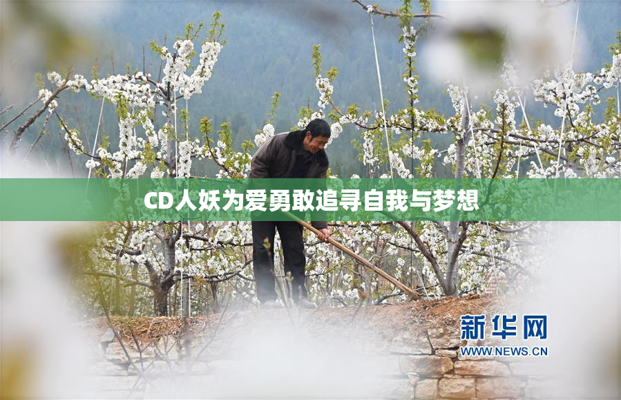 CD人妖为爱勇敢追寻自我与梦想
