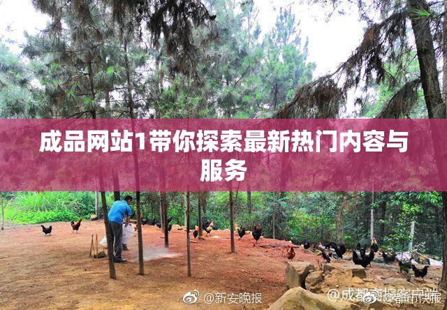 成品网站1带你探索最新热门内容与服务