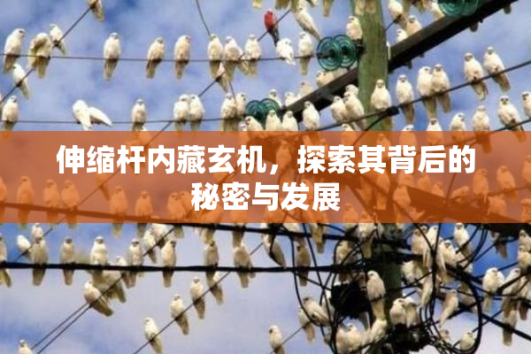 伸缩杆内藏玄机，探索其背后的秘密与发展
