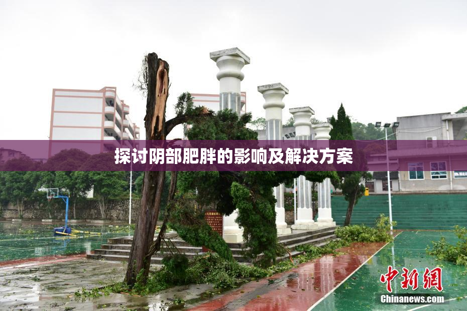 探讨阴部肥胖的影响及解决方案