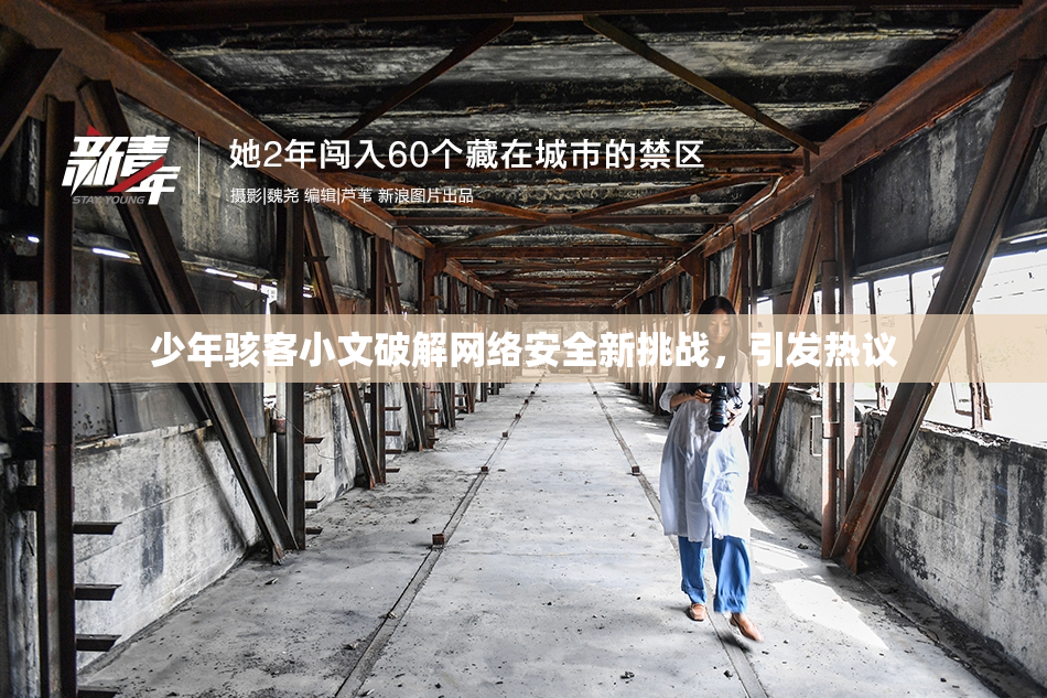 少年骇客小文破解网络安全新挑战，引发热议