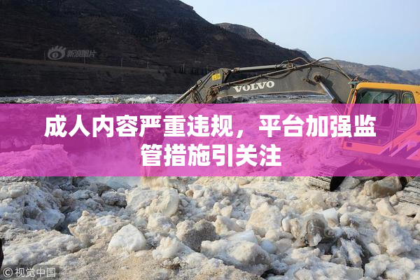 成人内容严重违规，平台加强监管措施引关注