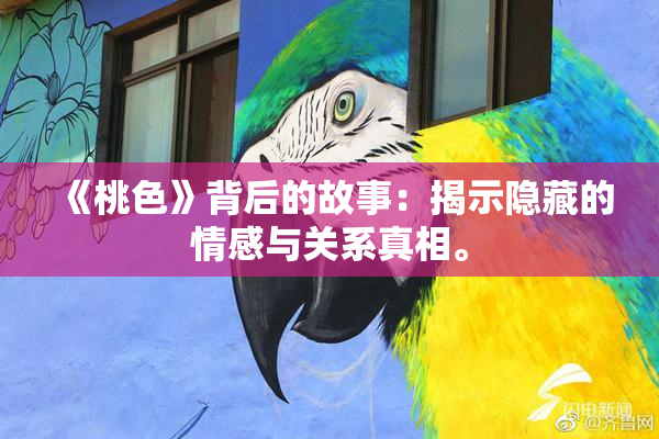 《桃色》背后的故事：揭示隐藏的情感与关系真相。