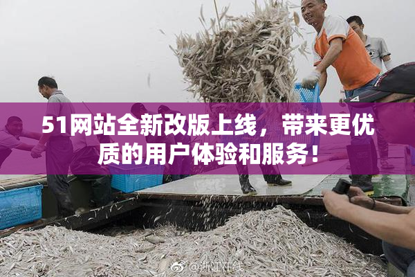 51网站全新改版上线，带来更优质的用户体验和服务！