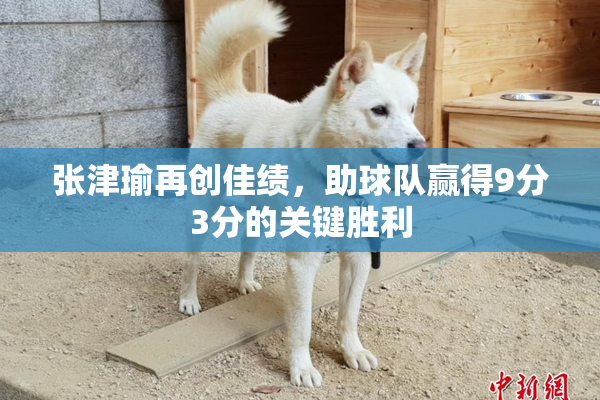 张津瑜再创佳绩，助球队赢得9分3分的关键胜利