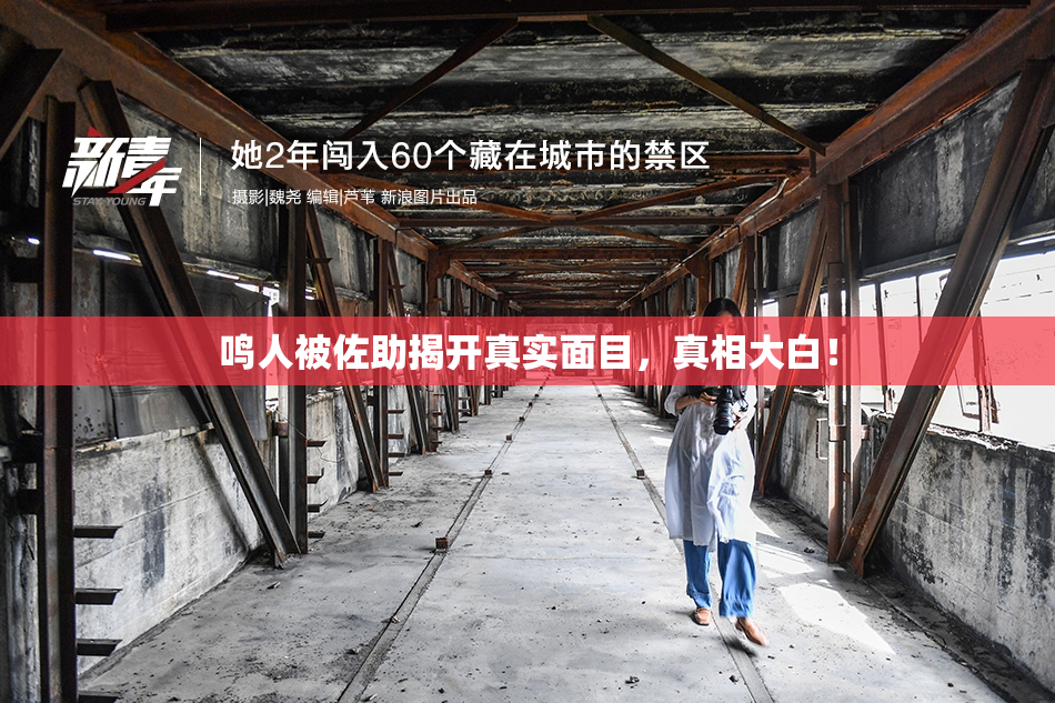 鸣人被佐助揭开真实面目，真相大白！