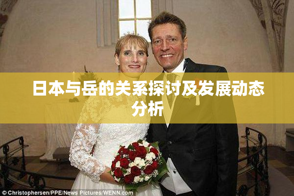 日本与岳的关系探讨及发展动态分析
