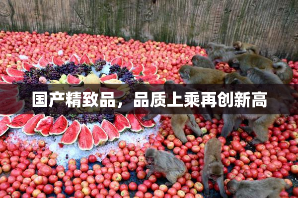 国产精致品，品质上乘再创新高