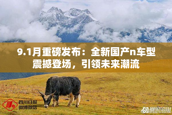 9.1月重磅发布：全新国产n车型震撼登场，引领未来潮流