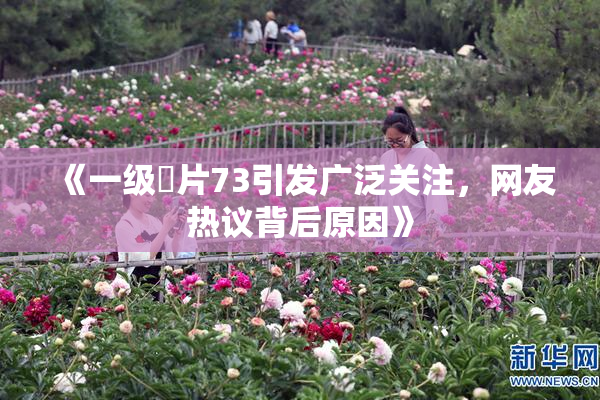 《一级婬片73引发广泛关注，网友热议背后原因》
