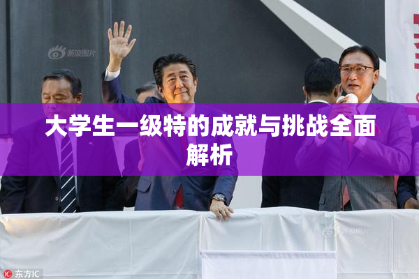 大学生一级特的成就与挑战全面解析