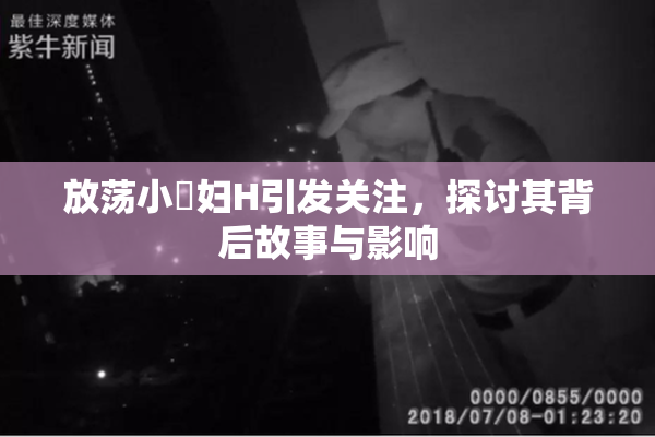 放荡小婬妇H引发关注，探讨其背后故事与影响