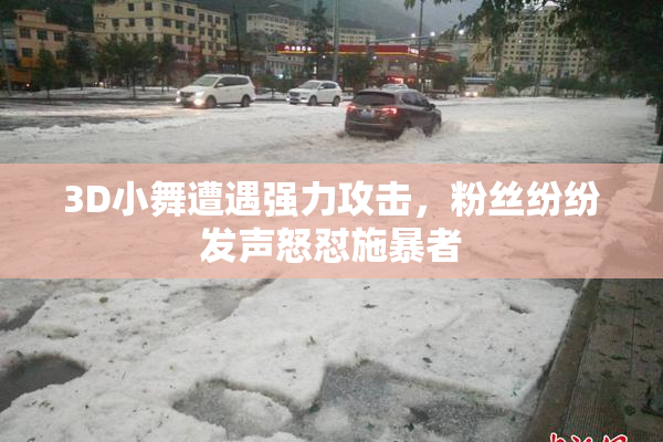 3D小舞遭遇强力攻击，粉丝纷纷发声怒怼施暴者
