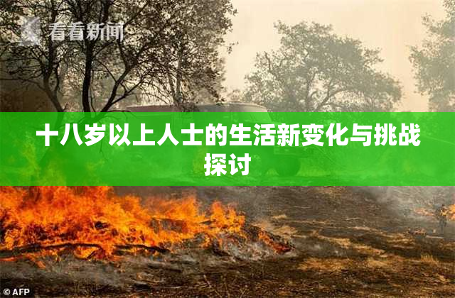 十八岁以上人士的生活新变化与挑战探讨