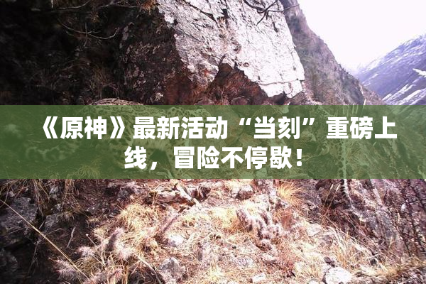 《原神》最新活动“当刻”重磅上线，冒险不停歇！