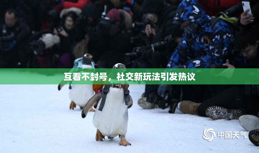 互看不封号，社交新玩法引发热议