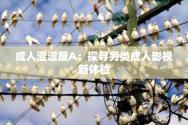 成人涩涩屋A：探寻另类成人影视新体验