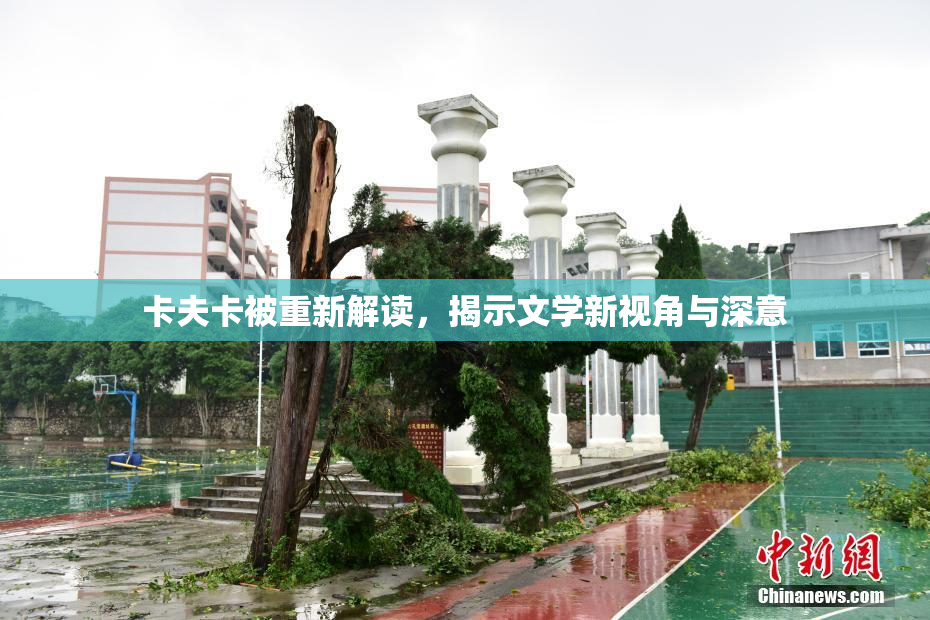 卡夫卡被重新解读，揭示文学新视角与深意