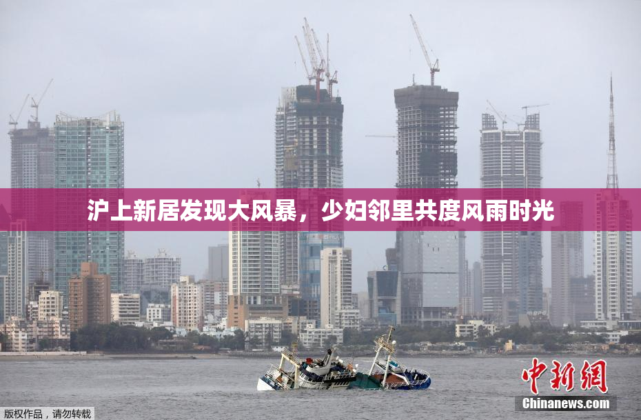 沪上新居发现大风暴，少妇邻里共度风雨时光
