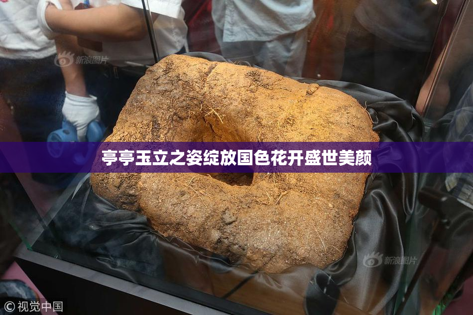 亭亭玉立之姿绽放国色花开盛世美颜