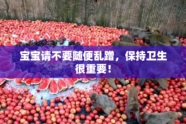 宝宝请不要随便乱蹭，保持卫生很重要！