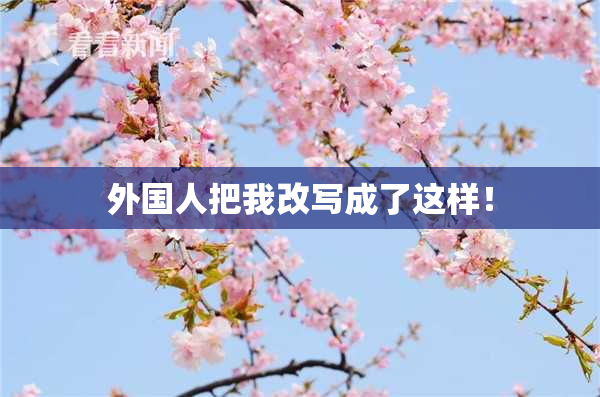 外国人把我改写成了这样！