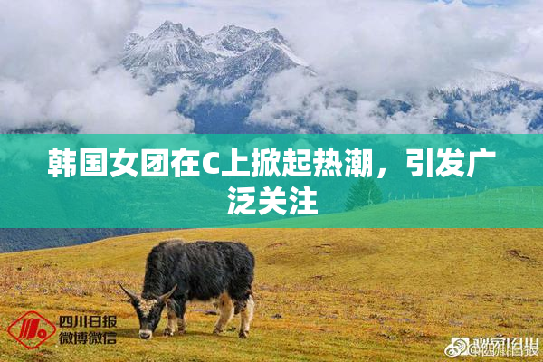 韩国女团在C上掀起热潮，引发广泛关注