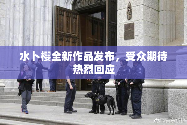 水卜樱全新作品发布，受众期待热烈回应
